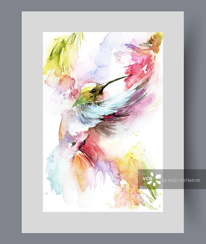 彩色羽毛的蜂鸟在饮水图片素材