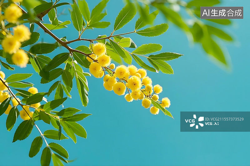 【AI数字艺术】金合欢树枝特写图片素材