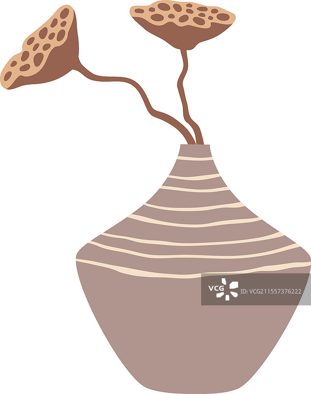 两朵干莲花优雅地排列在一起图片素材