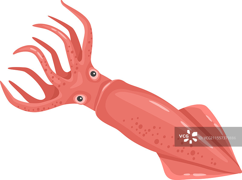 以粉色鱿鱼为主题的卡通画图片素材
