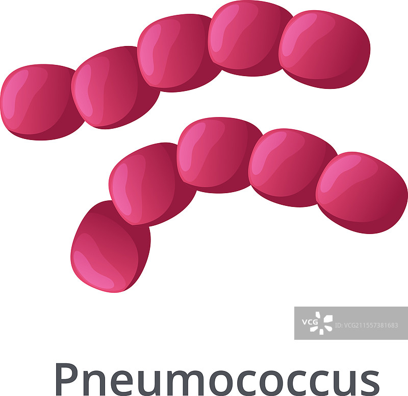 肺炎链球菌或肺炎球菌是图片素材