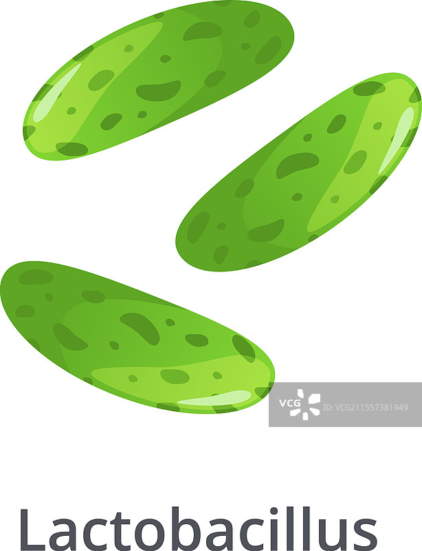 乳酸菌是一种发现于的益生菌。图片素材