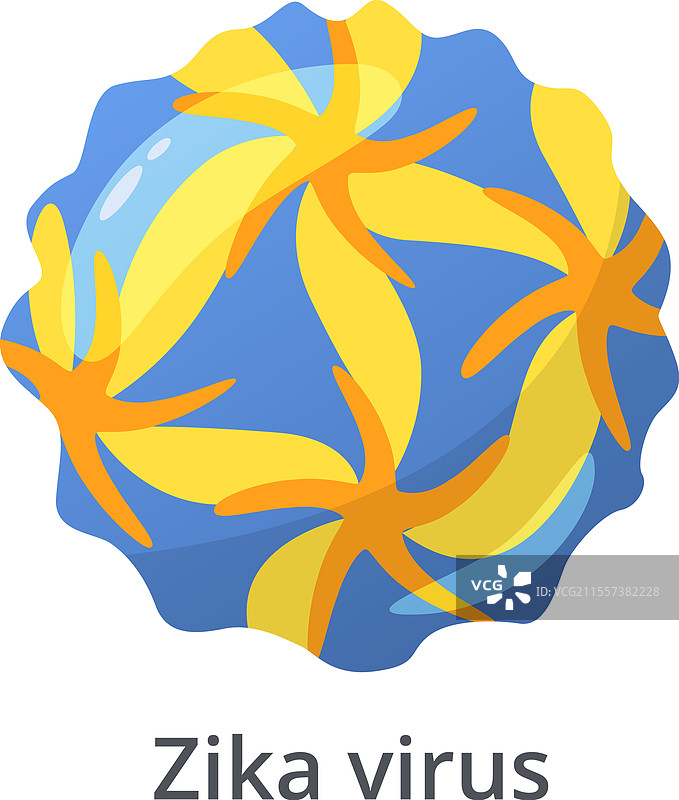 寨卡病毒以导致小头畸形而闻名。图片素材