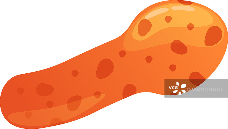 棒状杆菌的医学知识图片素材