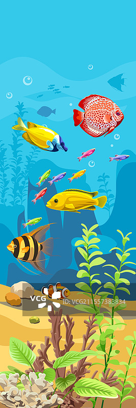 异国情调的海洋风景图片素材