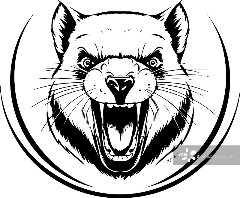 塔斯马尼亚人的素描图片素材