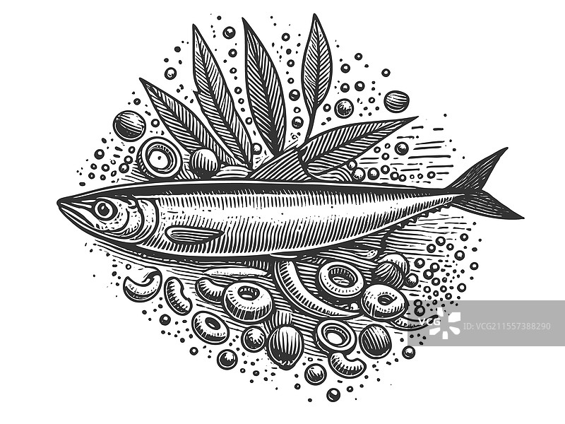 凤尾鱼雕刻素描图片素材