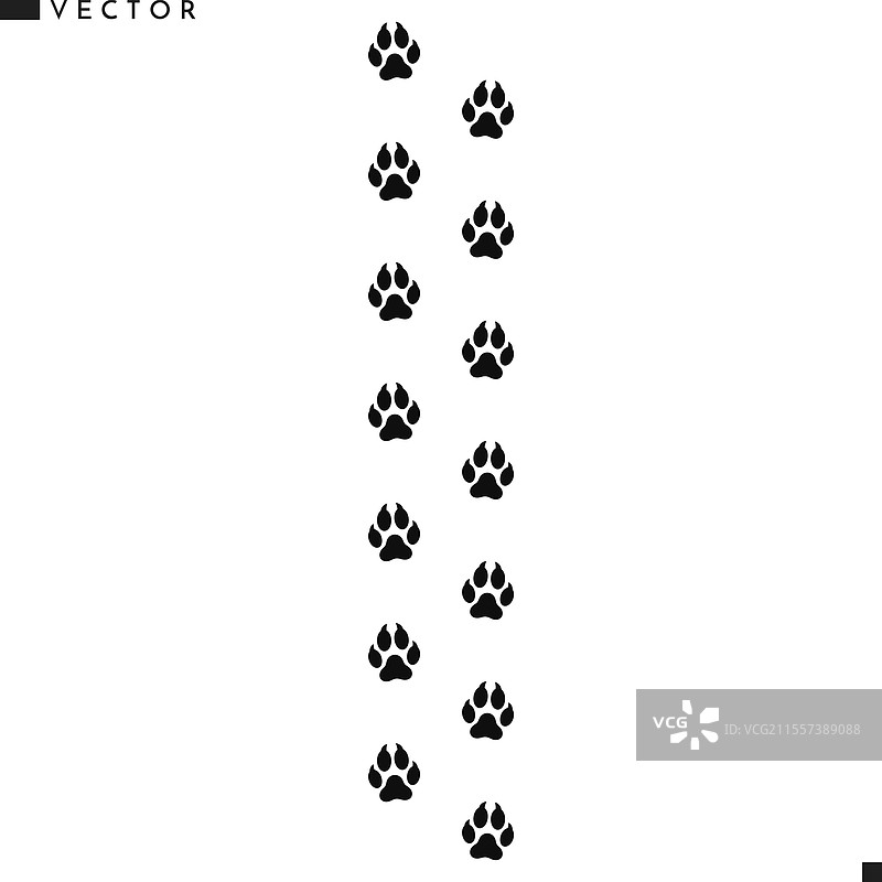 狐狸爪印图片素材