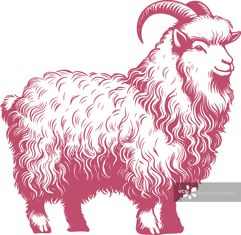 详细线条艺术的毛茸茸的山羊作品图片素材