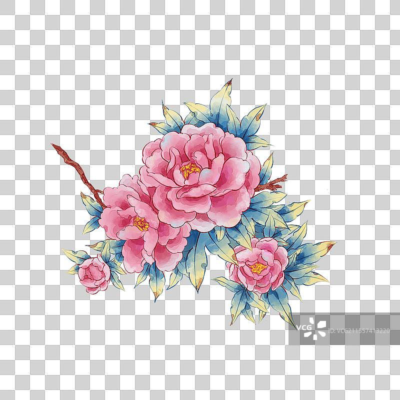 水彩牡丹花簇图片素材