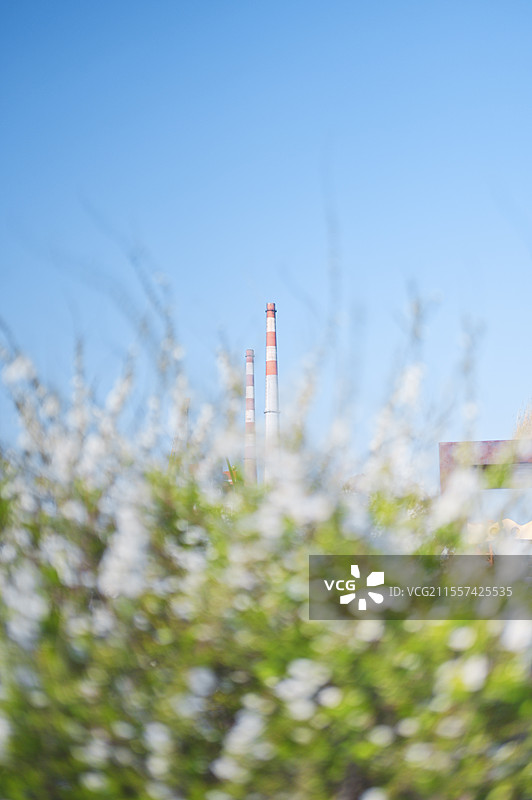 建筑与鲜花图片素材