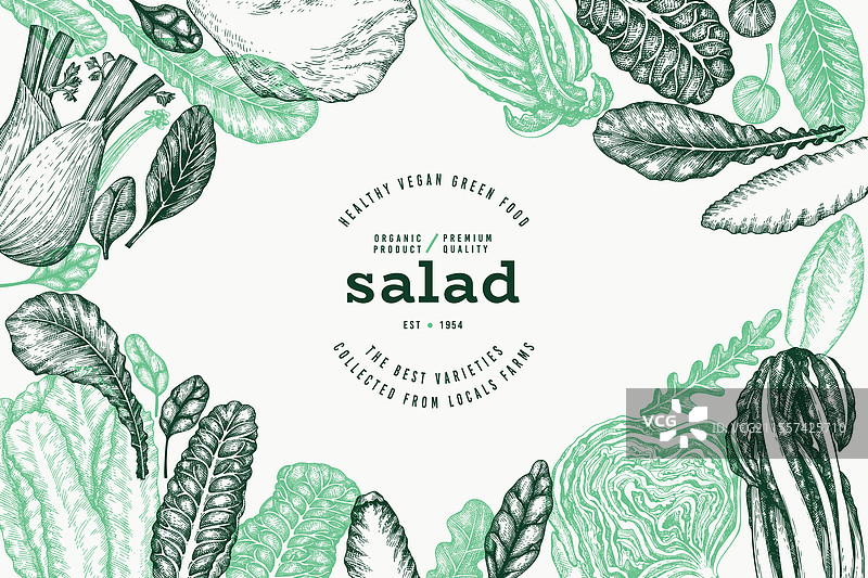 手绘绿色蔬菜设计模板图片素材