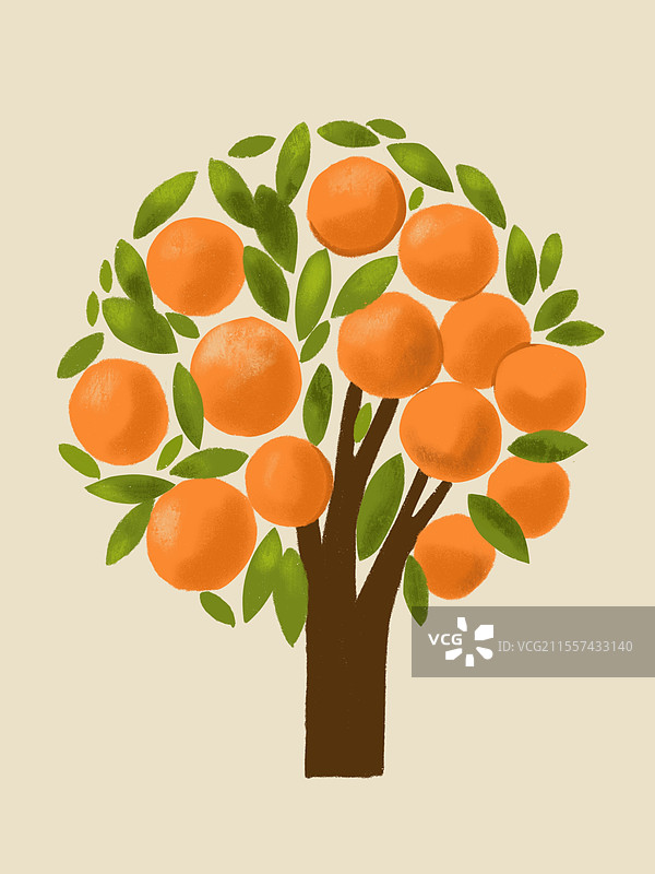 橘子树图片素材