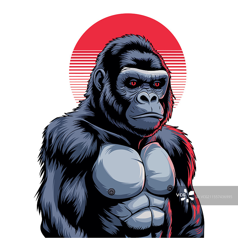 孤立的金刚与大猩猩图片素材