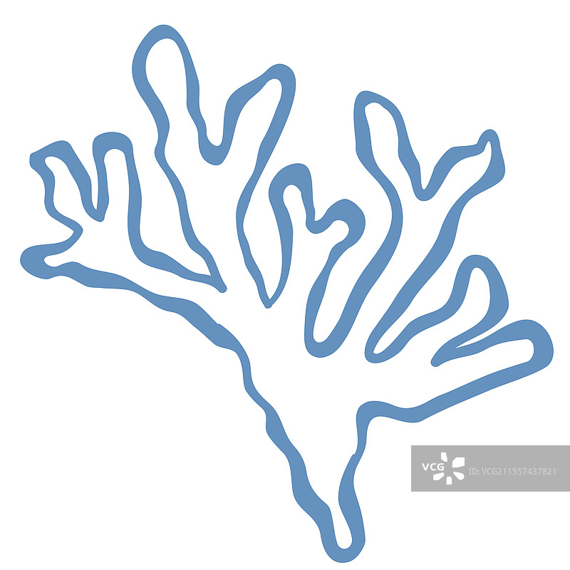 海藻的线条艺术图片素材