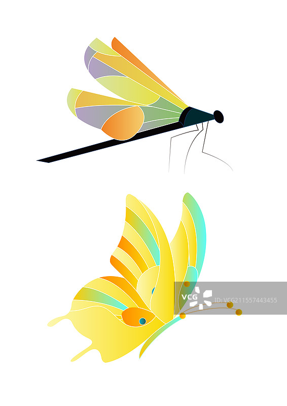 蜻蜓和蝴蝶图片素材