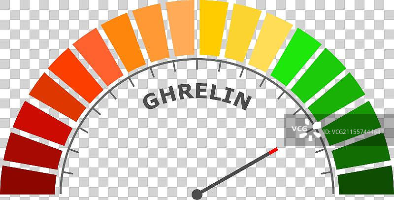 ghrelin水平良好，测量仪器显示正常图片素材