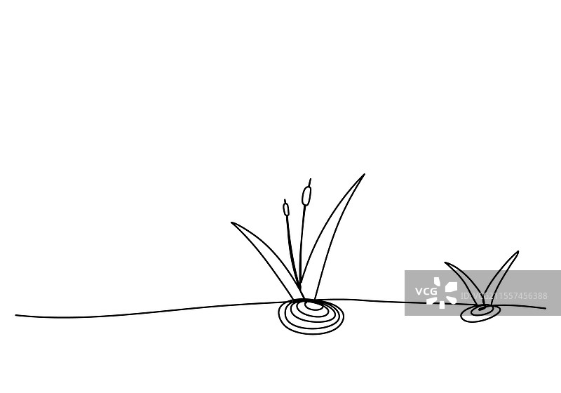 芦苇或沼泽角蕨的一笔画图片素材