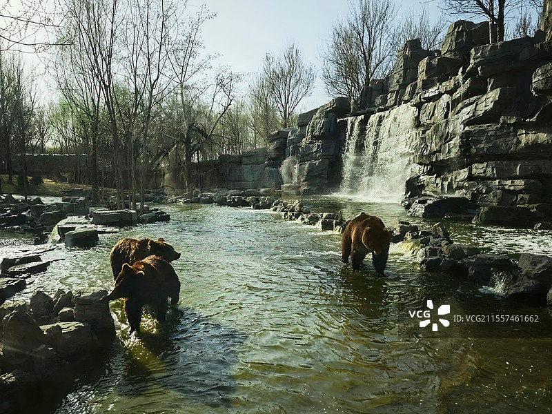 熊出没图片素材
