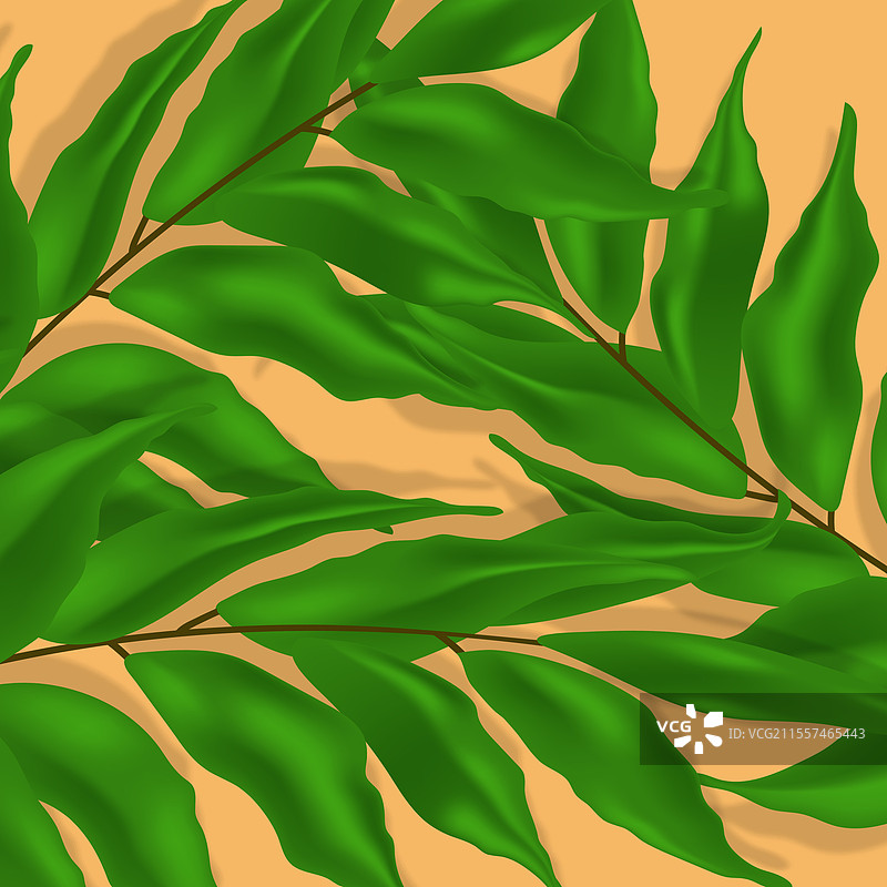 重叠的绿色树枝和叶子的图案图片素材