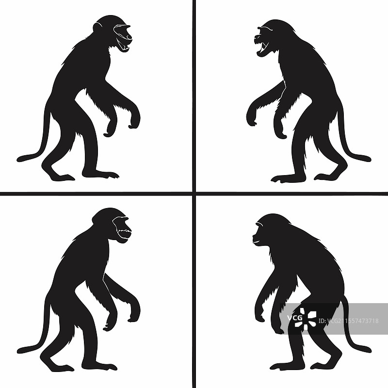 猴子站立姿势剪影艺术图片素材