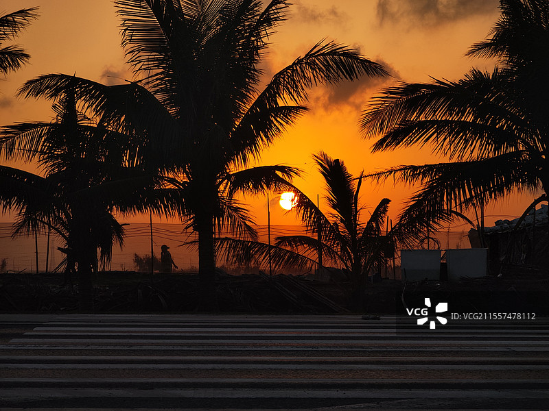 椰树下的日落图片素材