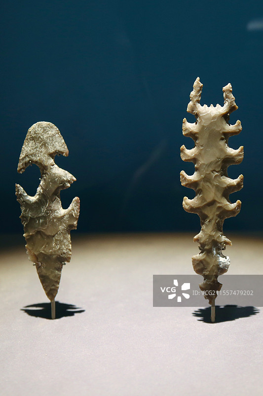 湖北博物院图片素材