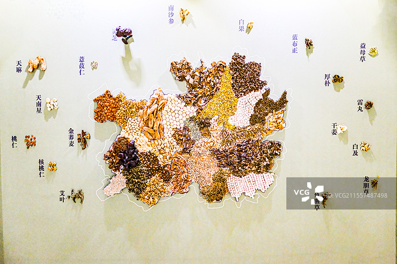 贵州中草药文化，贵州中草药标本，中草药，中药，药食同源图片素材