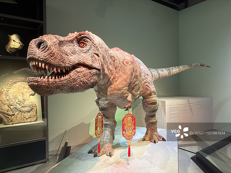 香港科技馆新春恐龙馆展览图片素材
