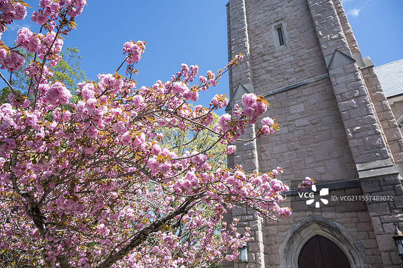 美国杜克大学春天的校园和花园图片素材