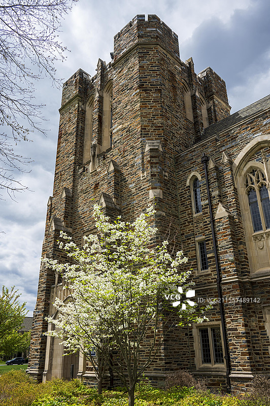 美国杜克大学春天的校园和花园图片素材