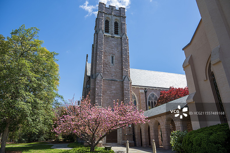 美国杜克大学春天的校园和花园图片素材