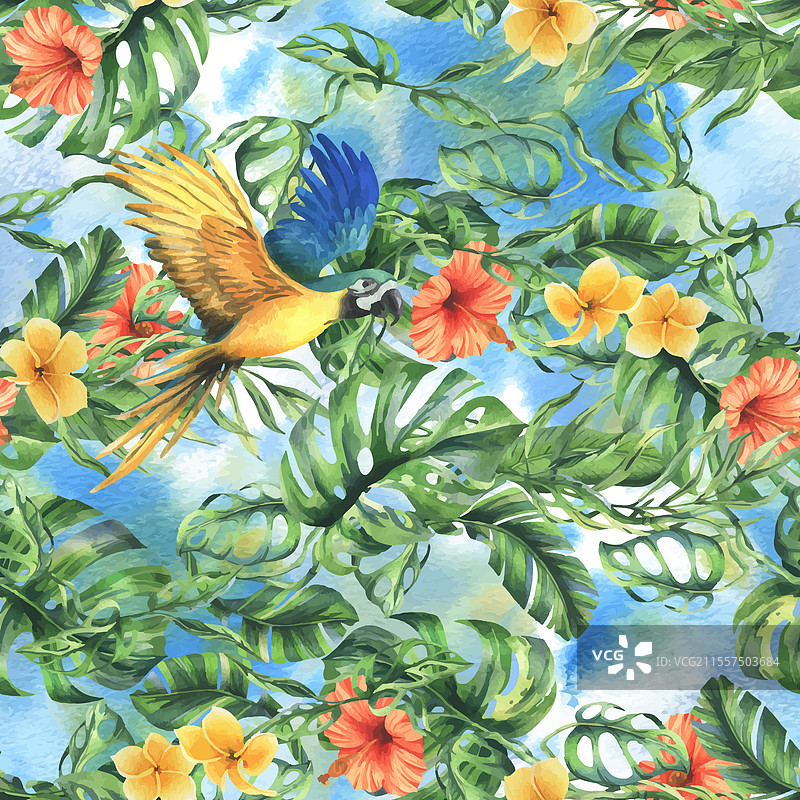 热带棕榈叶、怪兽植物和花朵图片素材