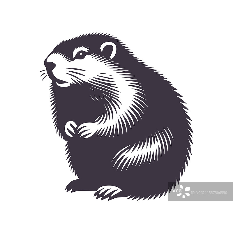 土拨鼠剪影设计模板图片素材