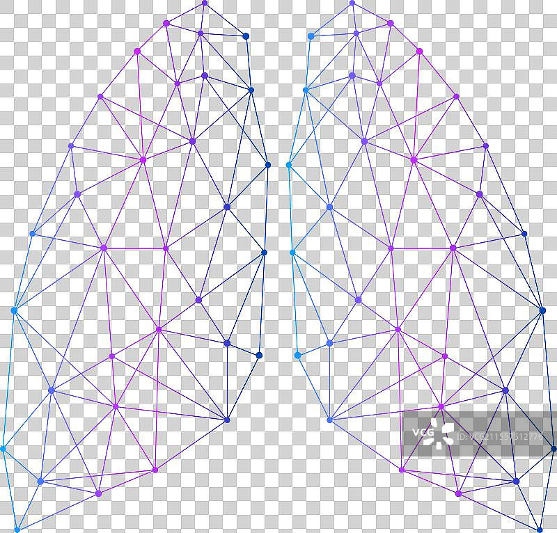 抽象的人类肺部线条和点的网络图片素材