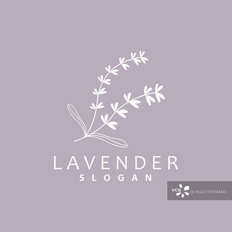 简单优雅的薰衣草logo，紫色花卉植物图片素材