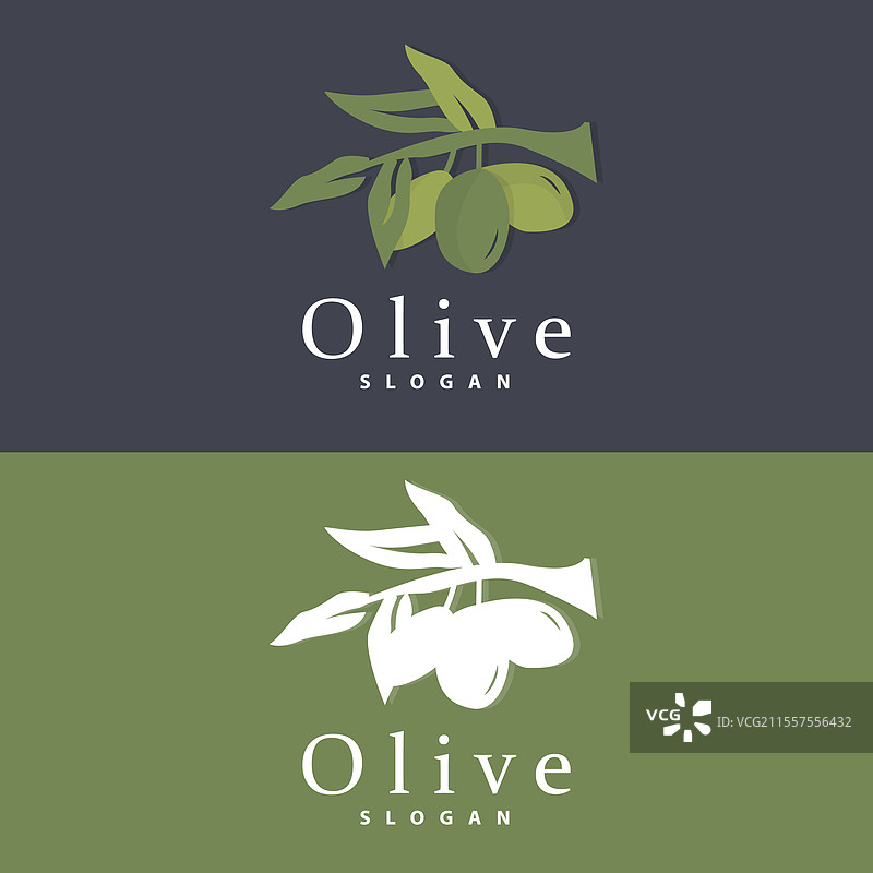 橄榄油标志 橄榄叶植物 草本花园图片素材