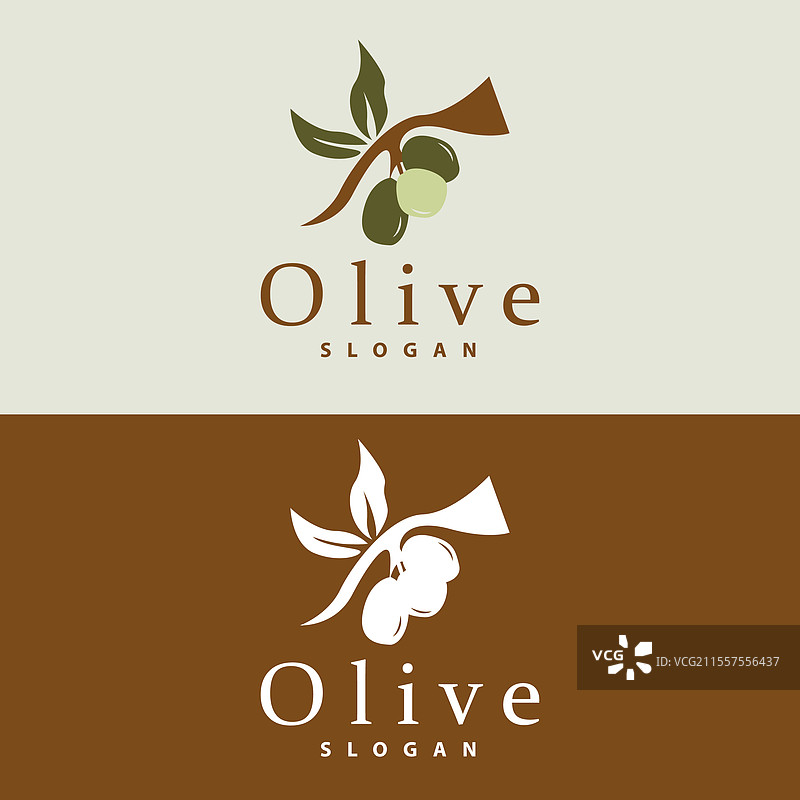 橄榄油标志 橄榄叶植物 草本花园图片素材