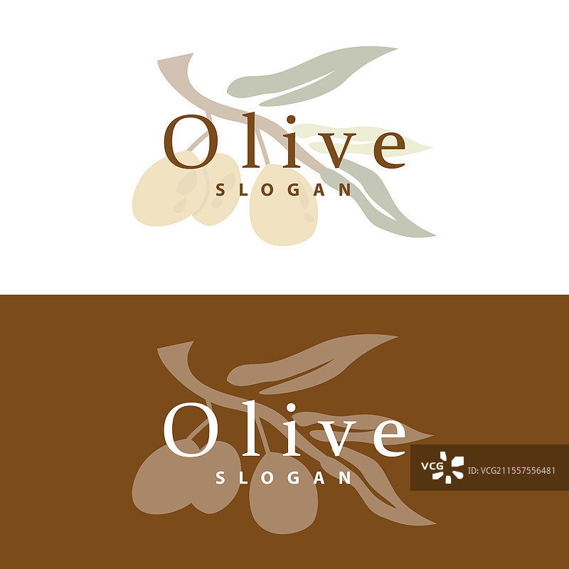 橄榄油标志 橄榄叶植物 草本花园图片素材