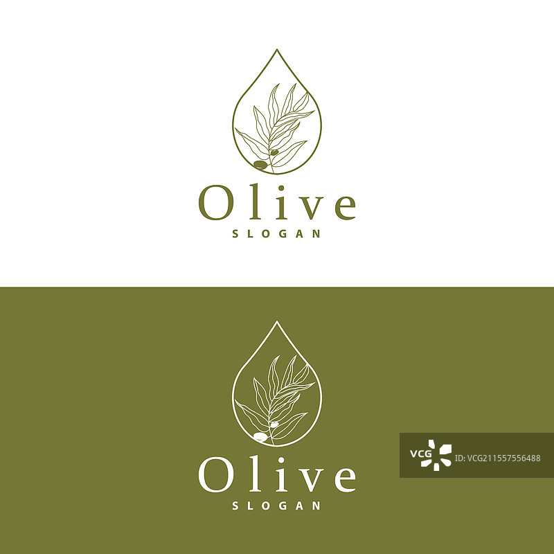 橄榄油标志 橄榄叶植物 草本花园图片素材