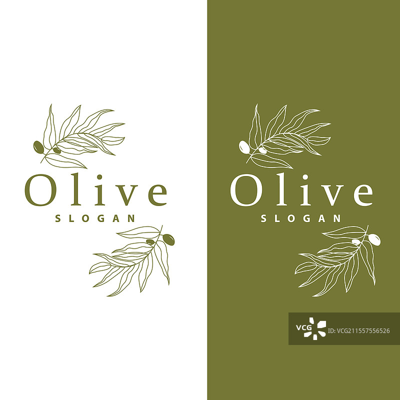 橄榄油标志 橄榄叶植物 草本花园图片素材