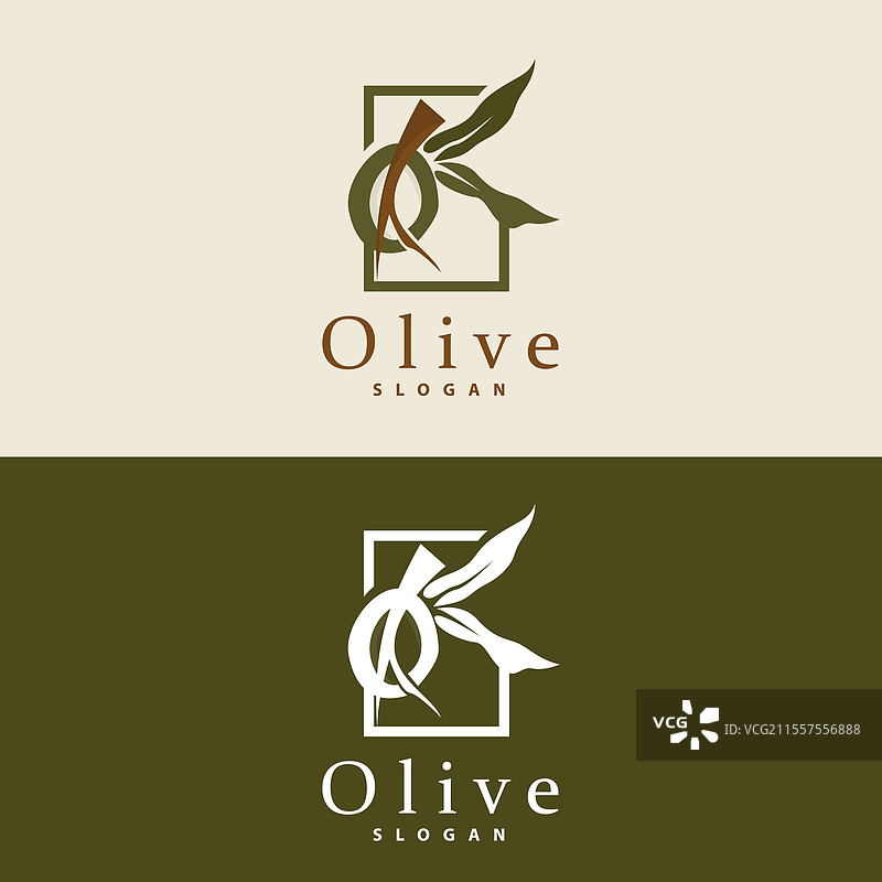 橄榄油标志 橄榄叶植物 草本花园图片素材