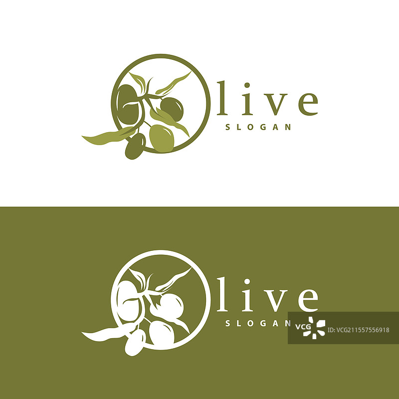 橄榄油标志 橄榄叶植物 草本花园图片素材