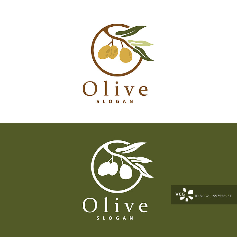 橄榄油标志 橄榄叶植物 草本花园图片素材