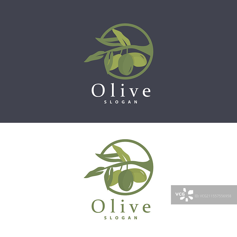 橄榄油标志 橄榄叶植物 草本花园图片素材