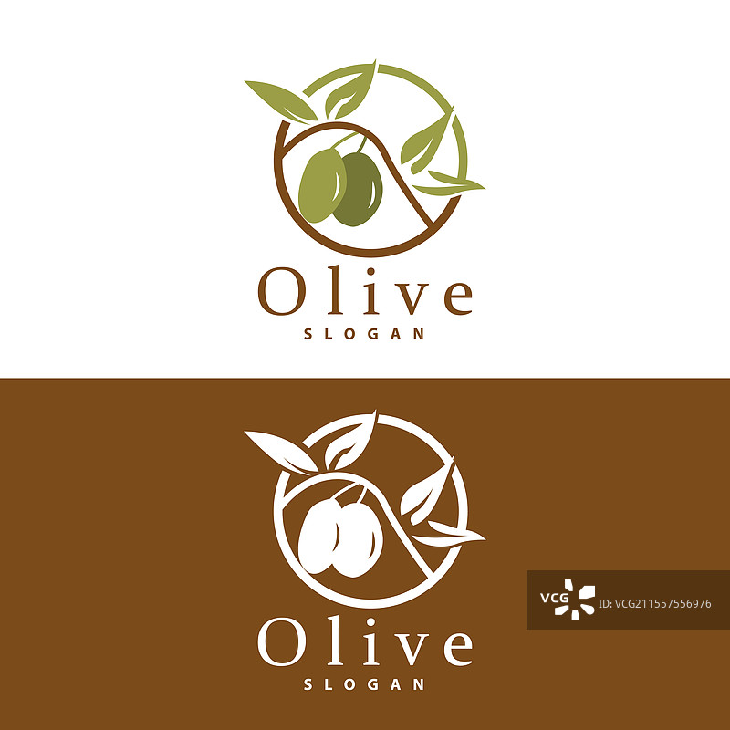 橄榄油标志 橄榄叶植物 草本花园图片素材