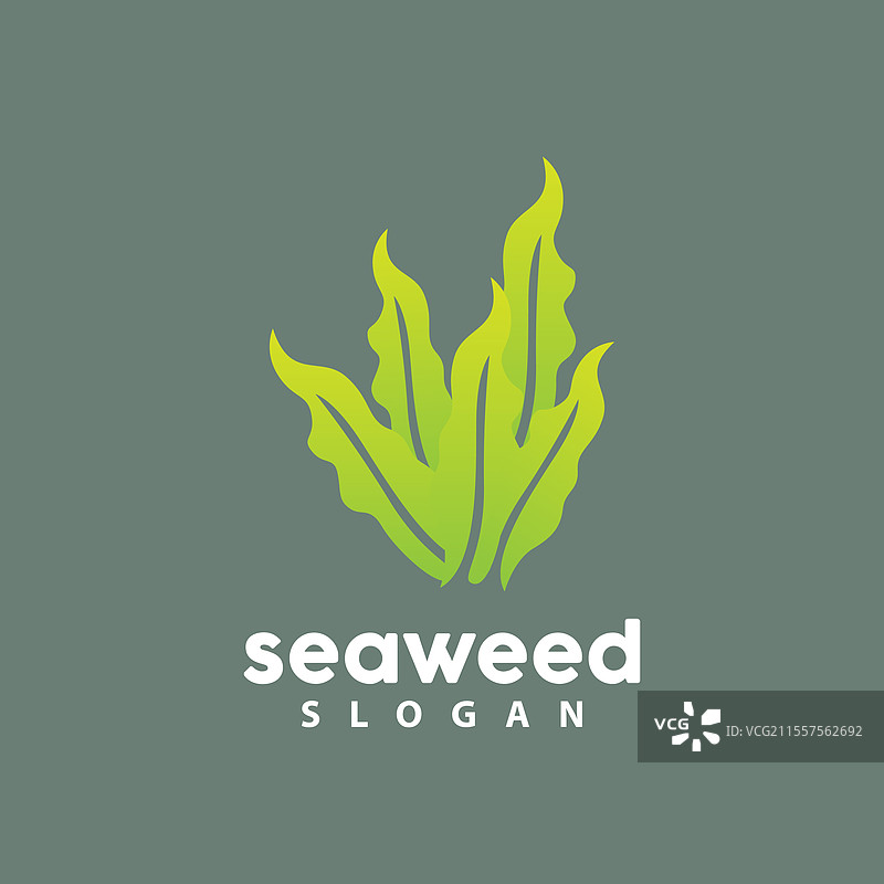 海藻标志水下植物简单叶子设计图片素材