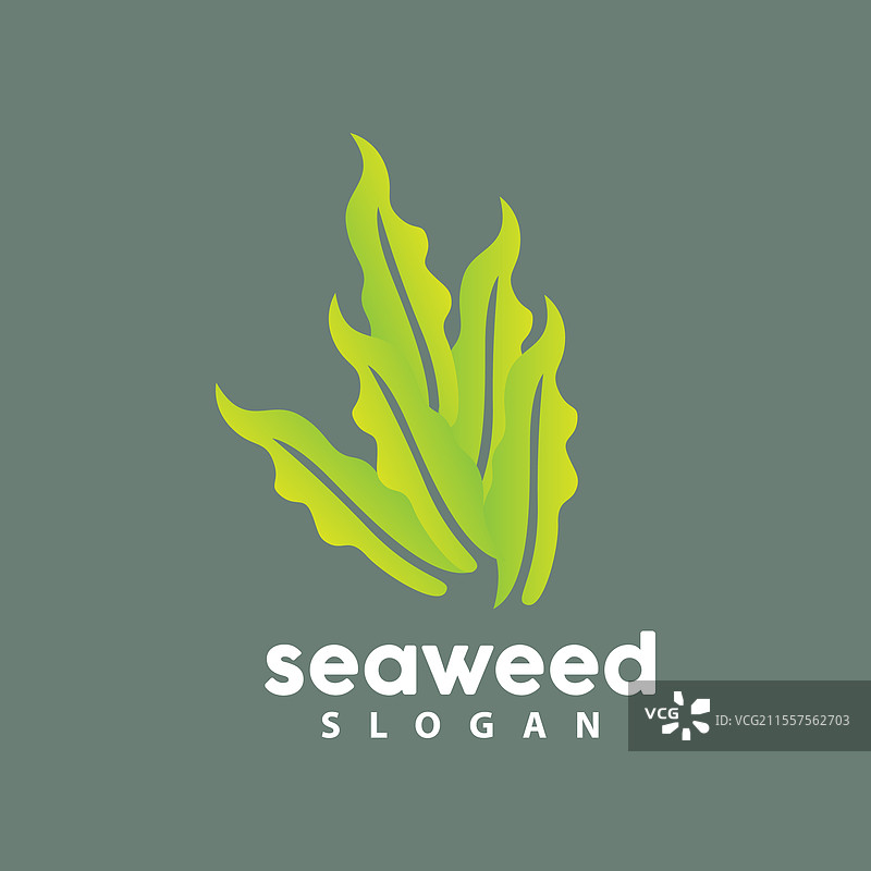 海藻标志水下植物简单叶子设计图片素材