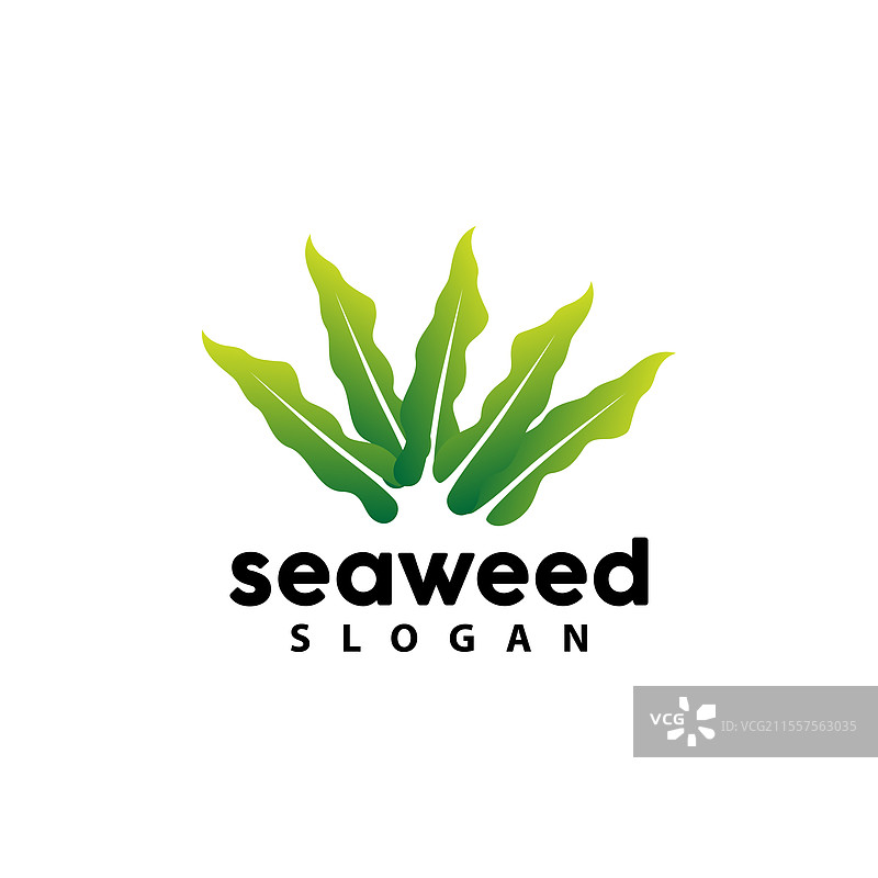 海藻标志水下植物简单叶子设计图片素材