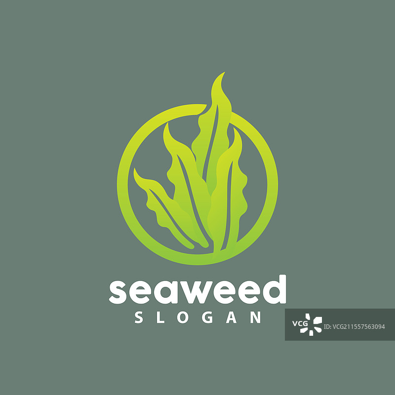 海藻标志水下植物简单叶子设计图片素材